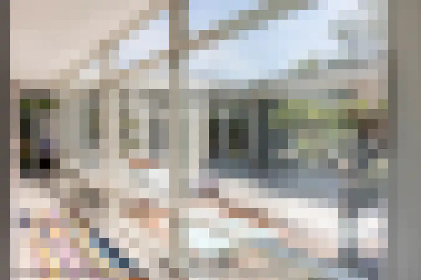 Parnassialaan 30 Oostvoorne thumbnail 64