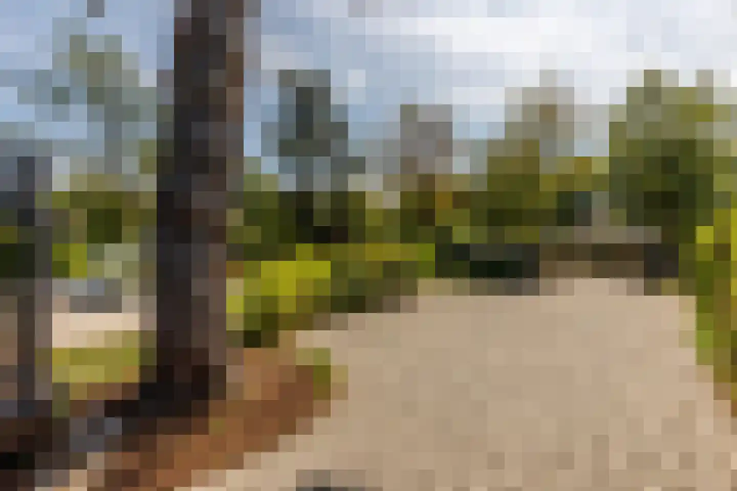 Parnassialaan 30 Oostvoorne thumbnail 69