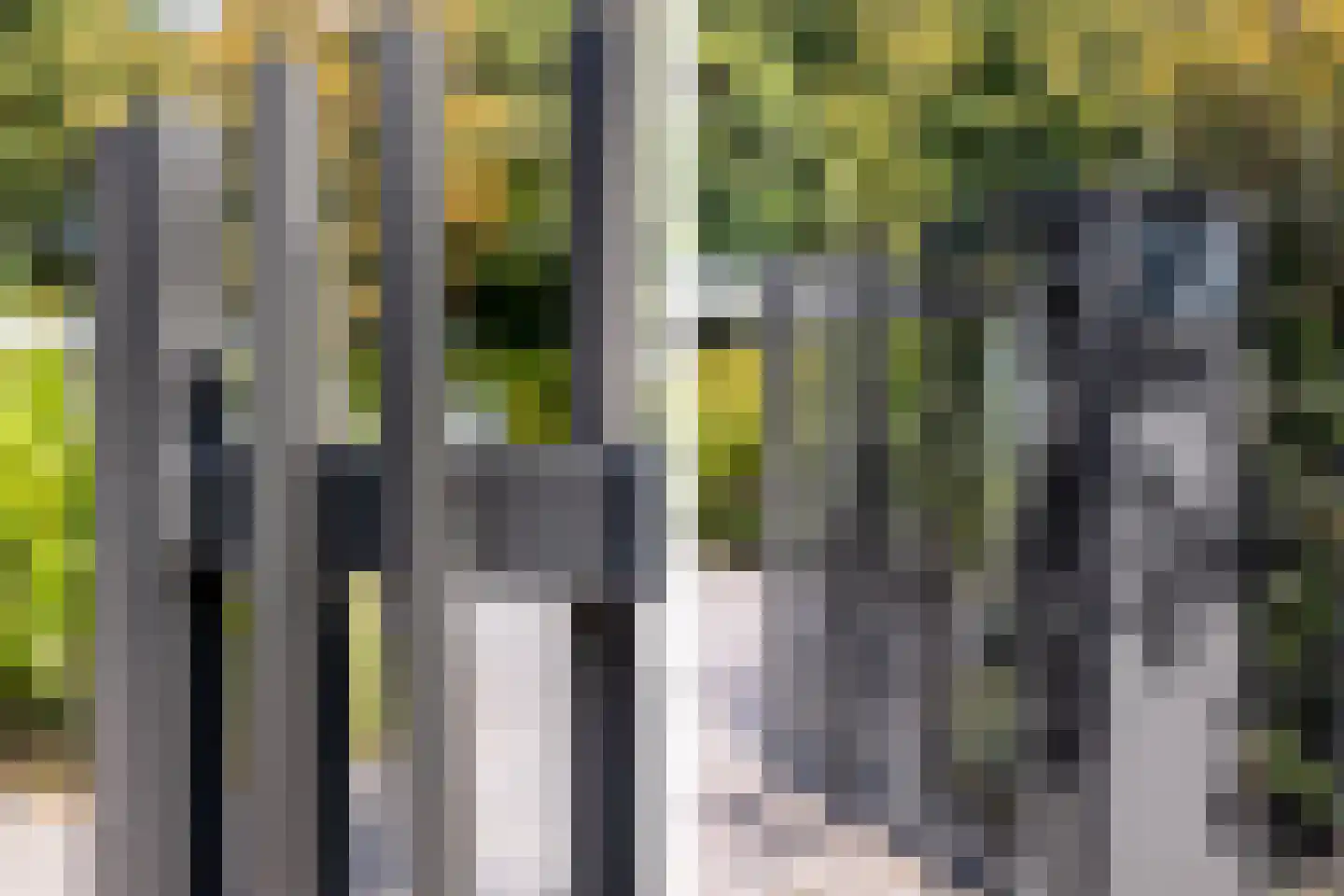 Parnassialaan 30 Oostvoorne thumbnail 71