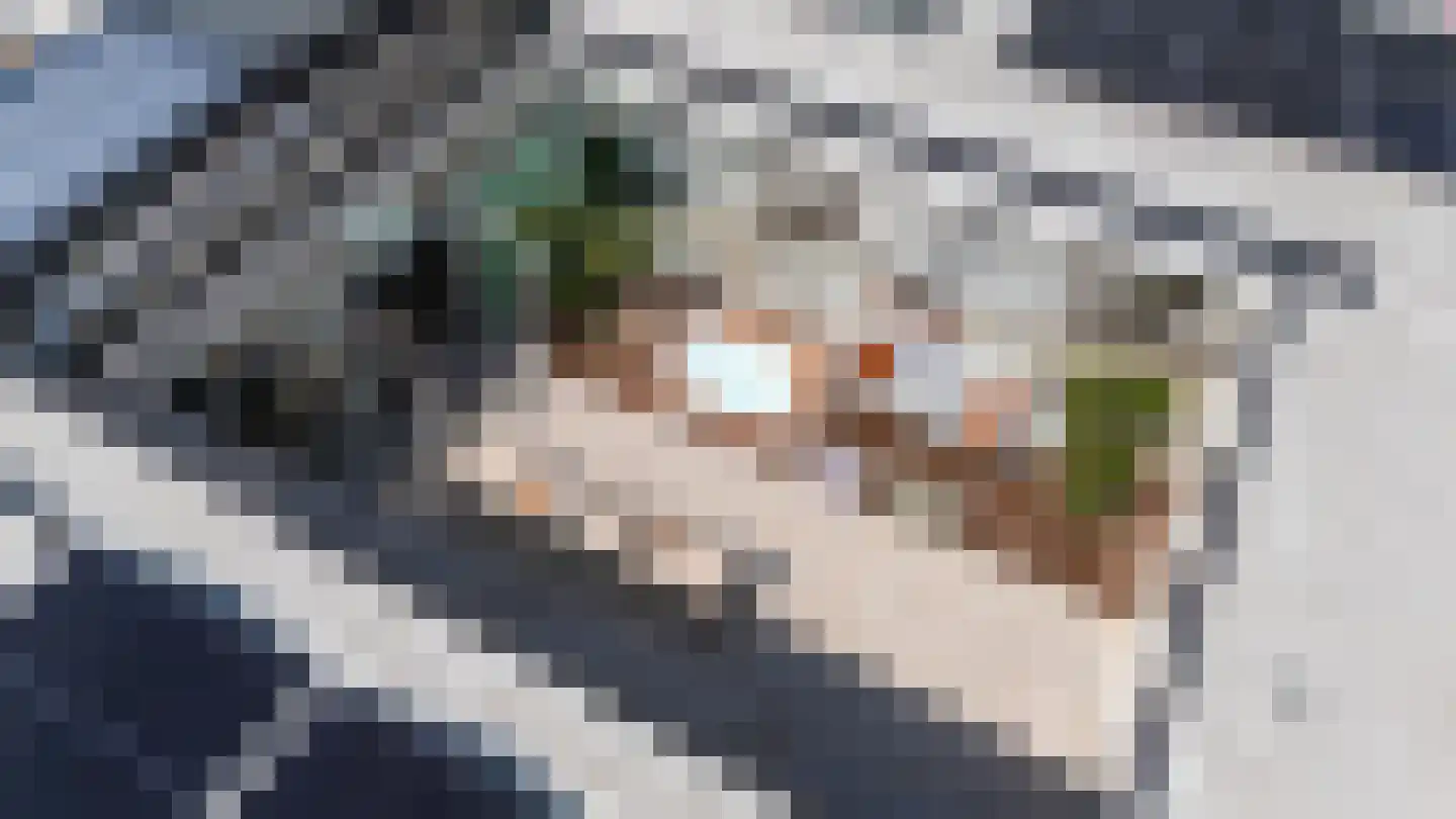 Parnassialaan 30 Oostvoorne thumbnail 77