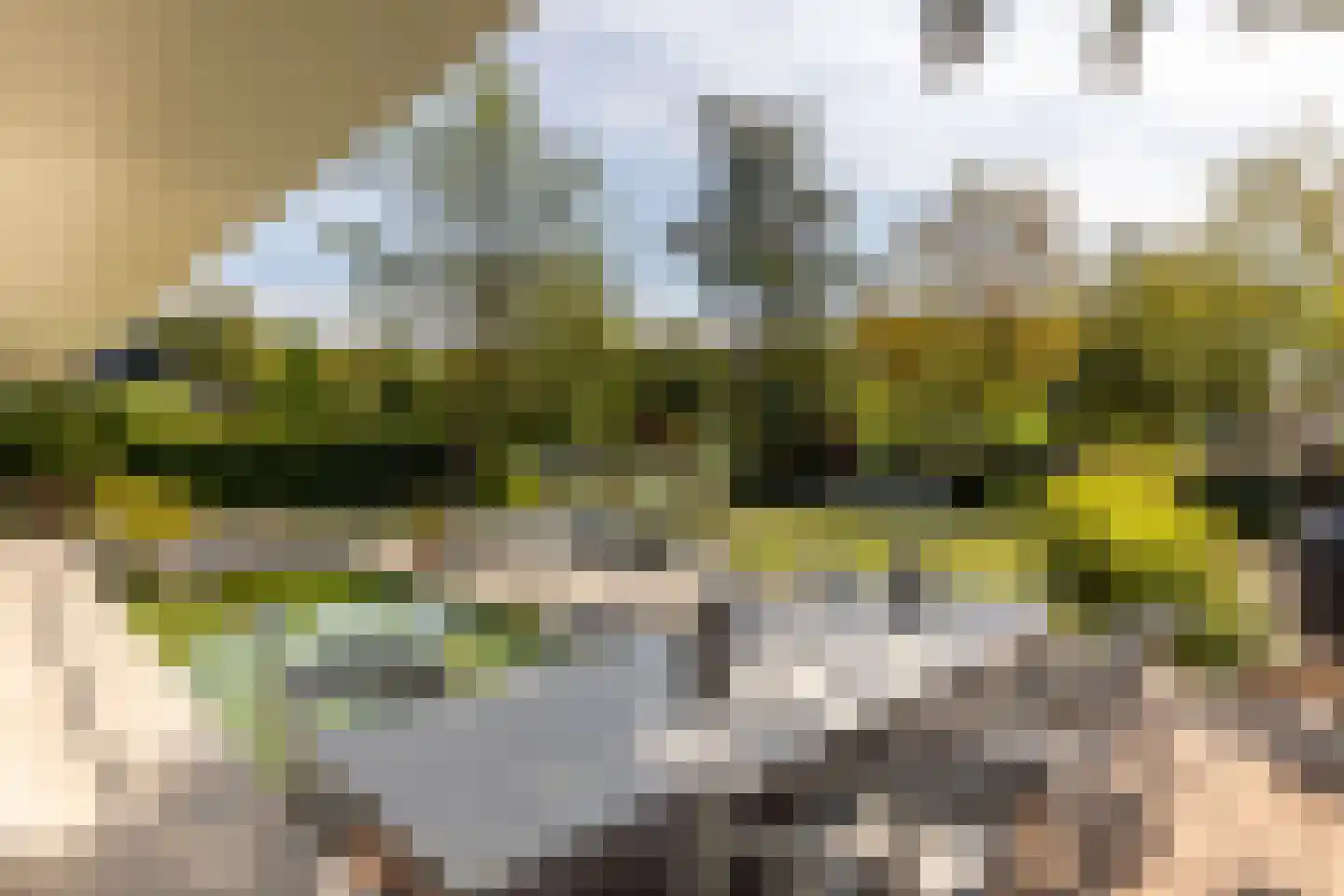 Parnassialaan 30 Oostvoorne thumbnail 8
