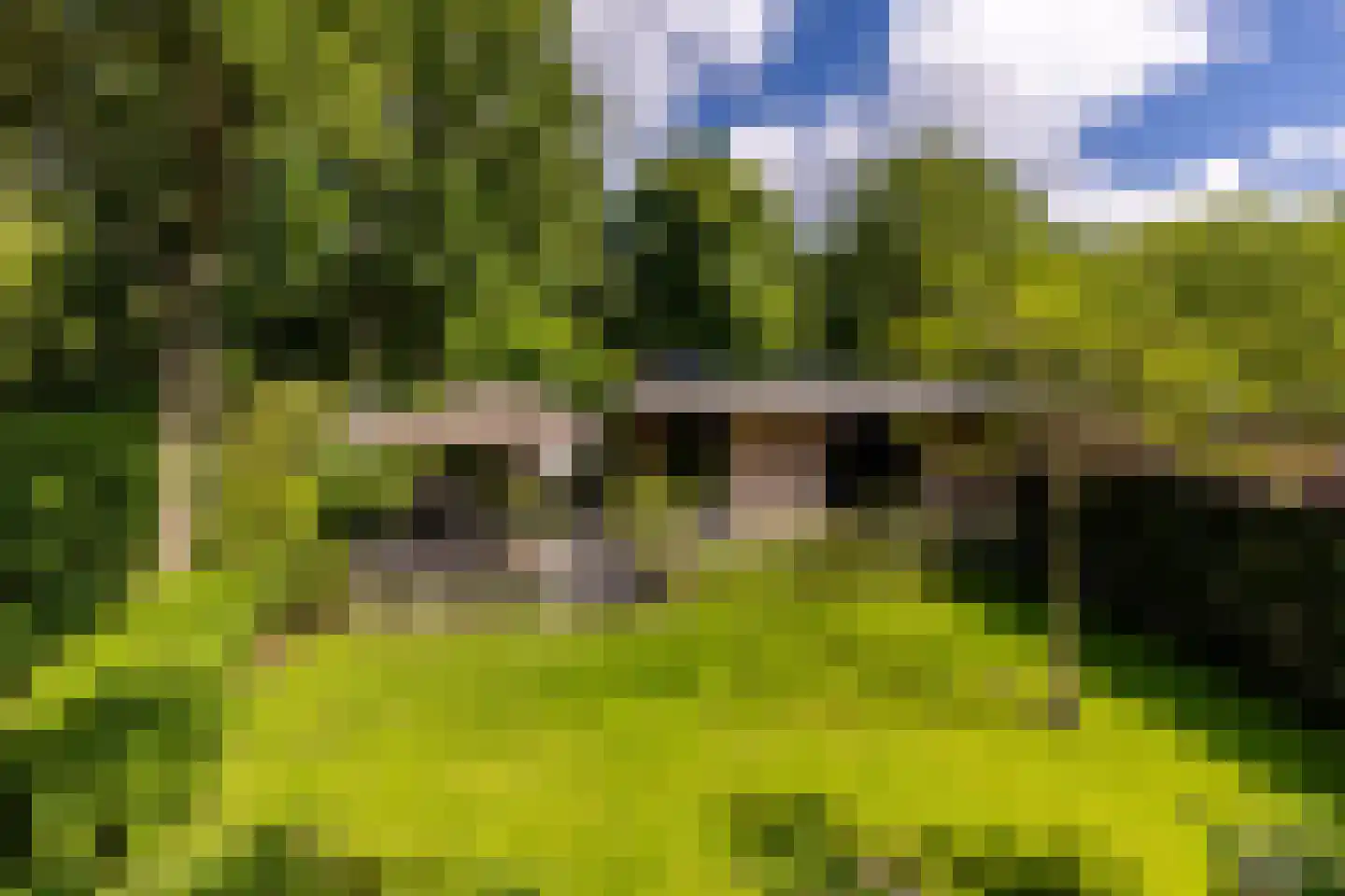 Parnassialaan 42 Oostvoorne