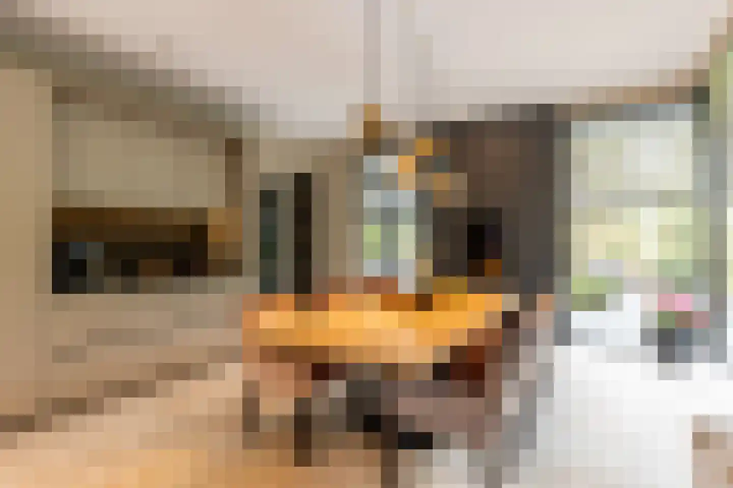 Parnassialaan 42 Oostvoorne thumbnail 26