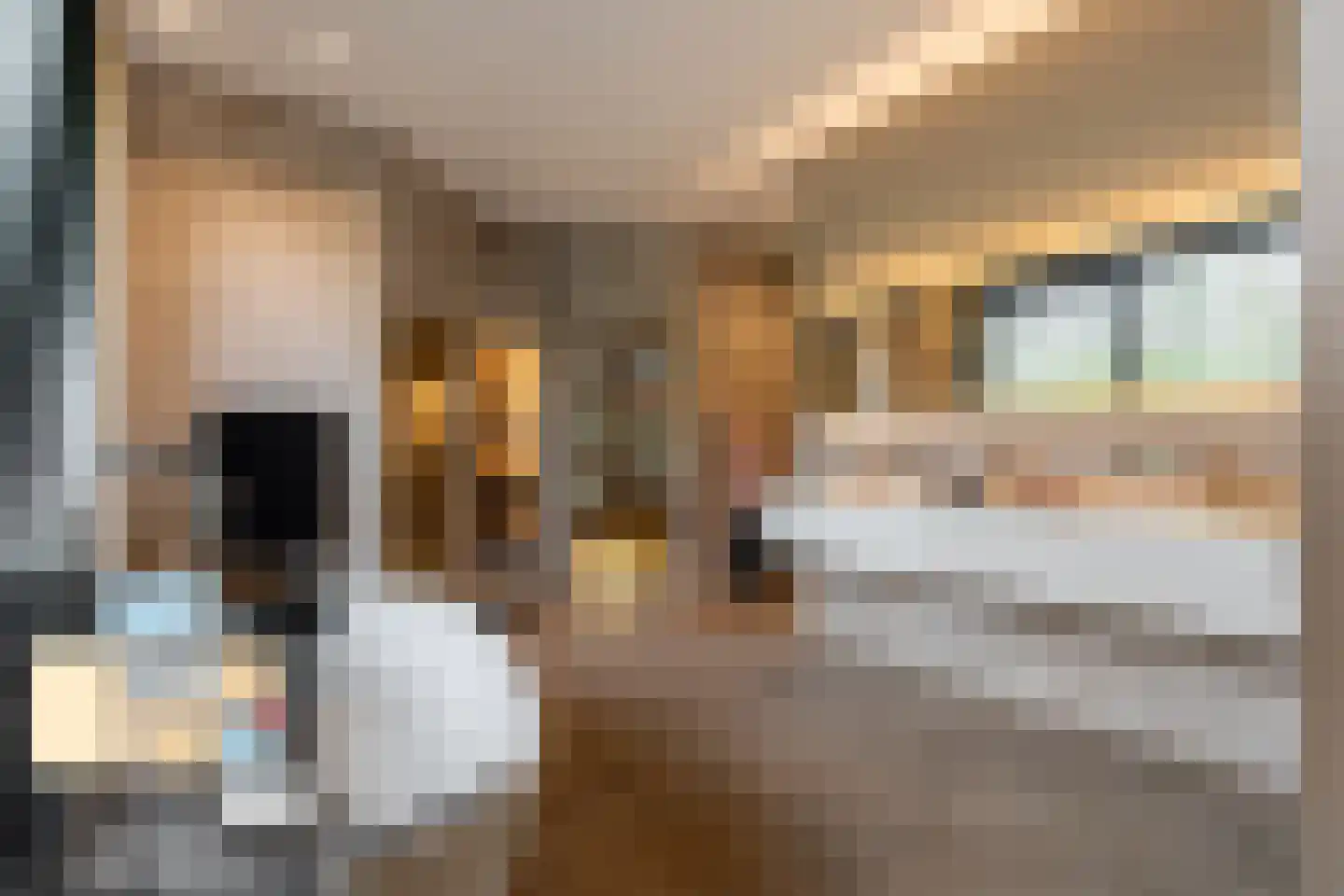 Parnassialaan 42 Oostvoorne thumbnail 34