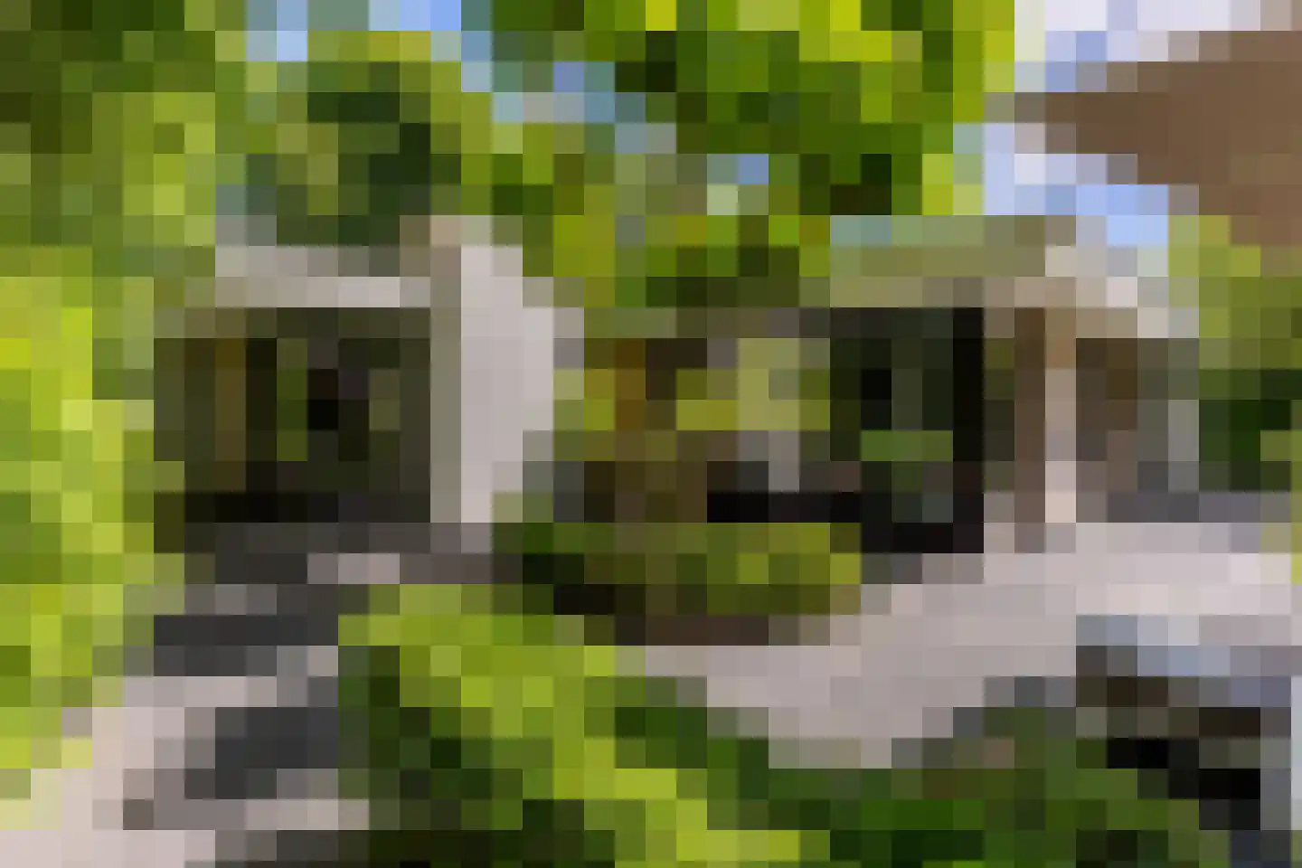 Parnassialaan 42 Oostvoorne thumbnail 43