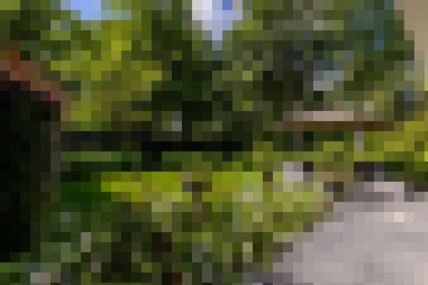Parnassialaan 42 Oostvoorne thumbnail 44
