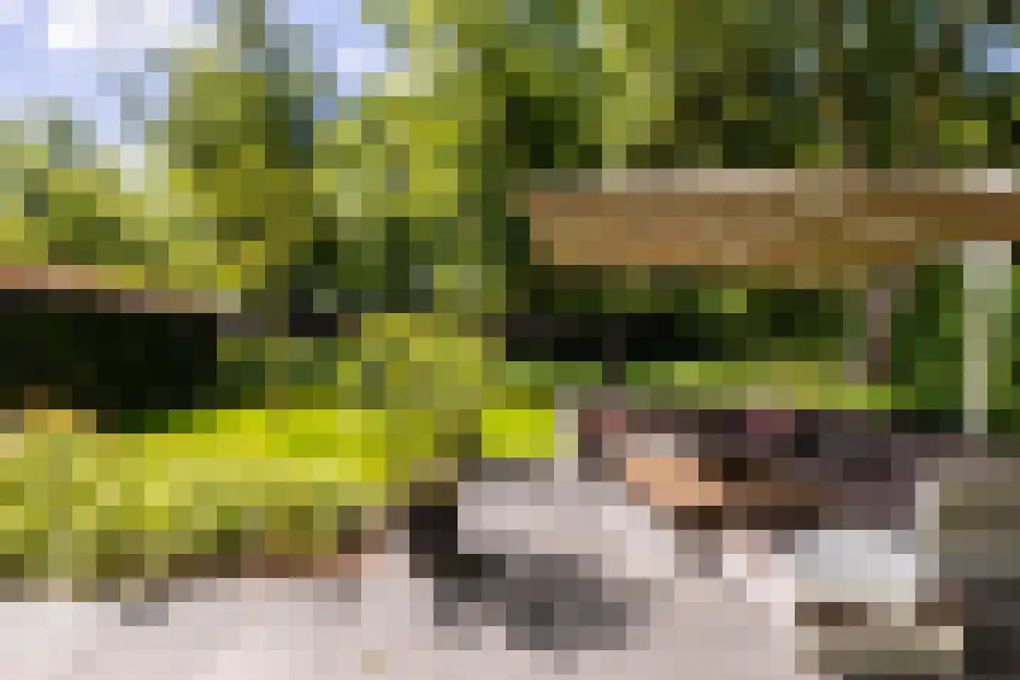Parnassialaan 42 Oostvoorne thumbnail 45