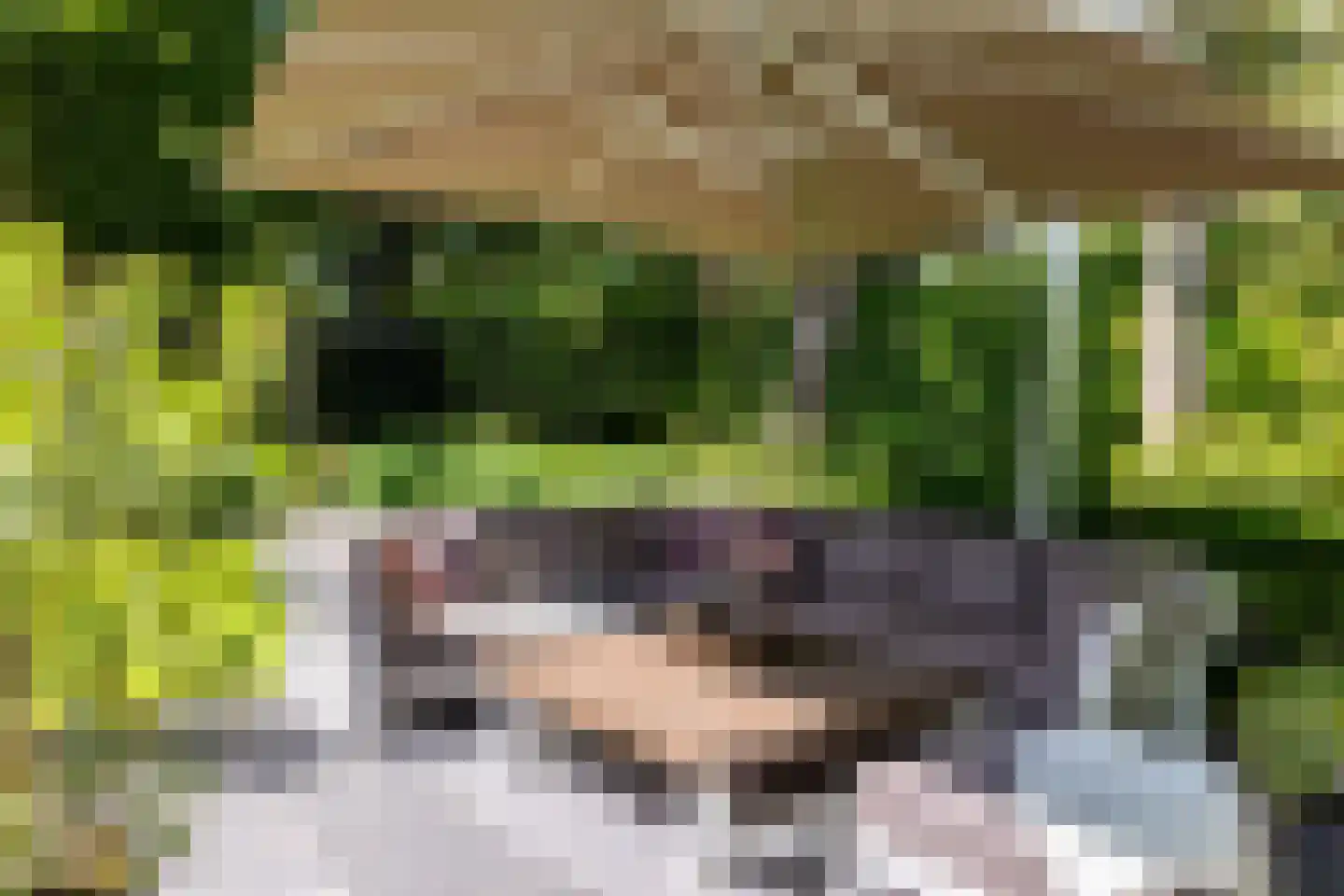 Parnassialaan 42 Oostvoorne thumbnail 46