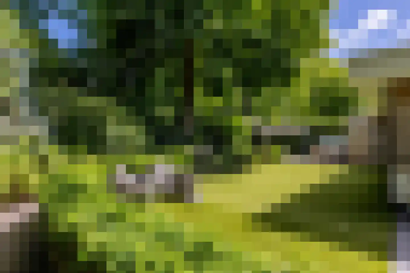 Parnassialaan 42 Oostvoorne thumbnail 47