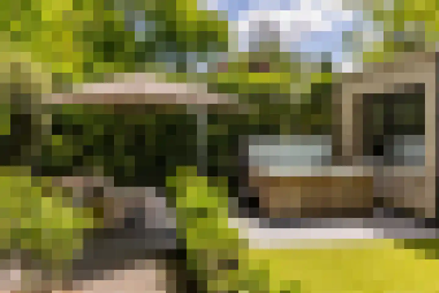 Parnassialaan 42 Oostvoorne thumbnail 48