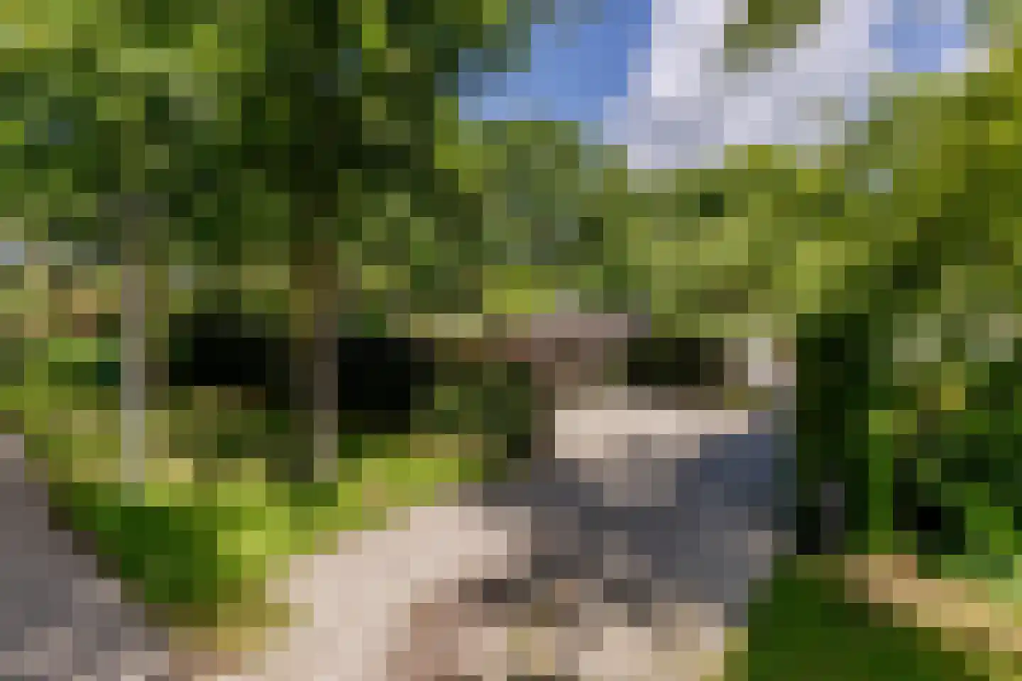 Parnassialaan 42 Oostvoorne thumbnail 5