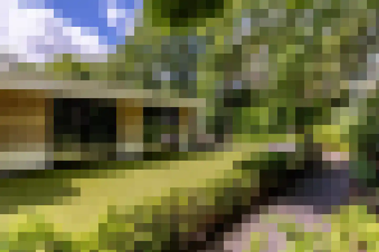 Parnassialaan 42 Oostvoorne thumbnail 50