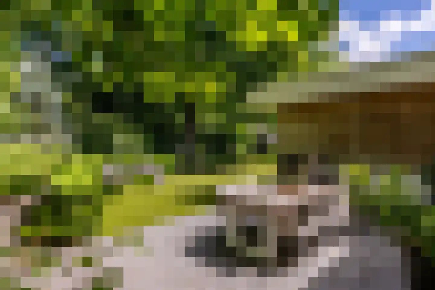 Parnassialaan 42 Oostvoorne thumbnail 53