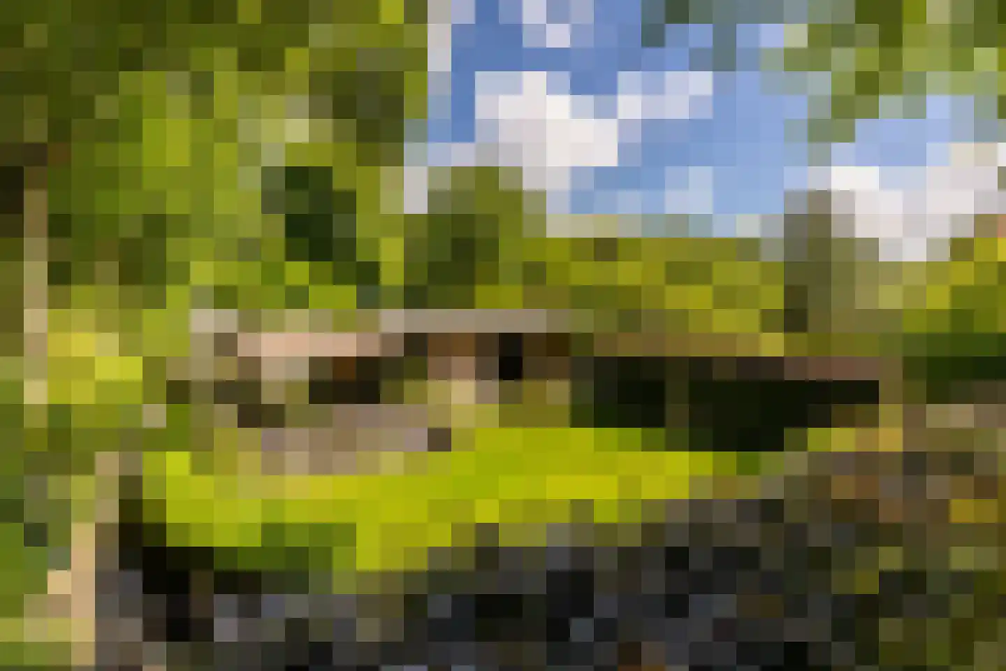 Parnassialaan 42 Oostvoorne thumbnail 55