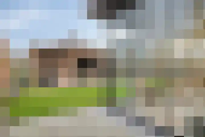 Parnassialaan 5 Lelystad thumbnail 37