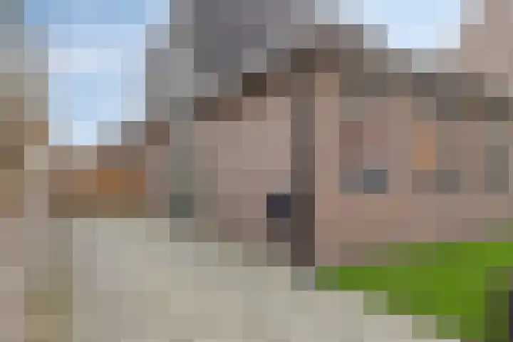 Parnassialaan 5 Lelystad thumbnail 5
