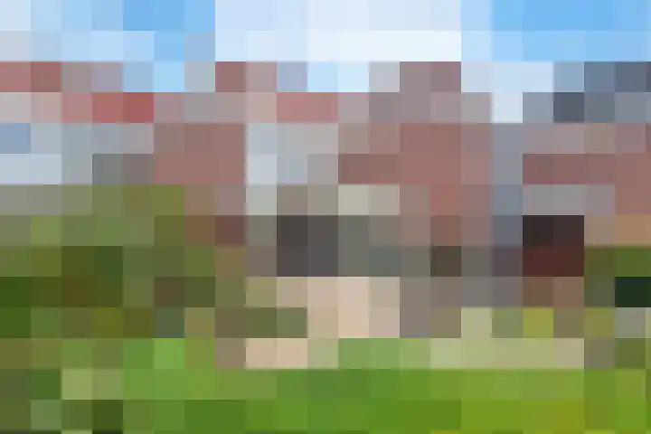 Parnassialaan 90 Noordwijkerhout thumbnail 19