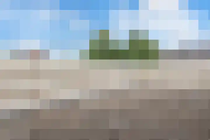 Parnassialaan 90 Noordwijkerhout thumbnail 25