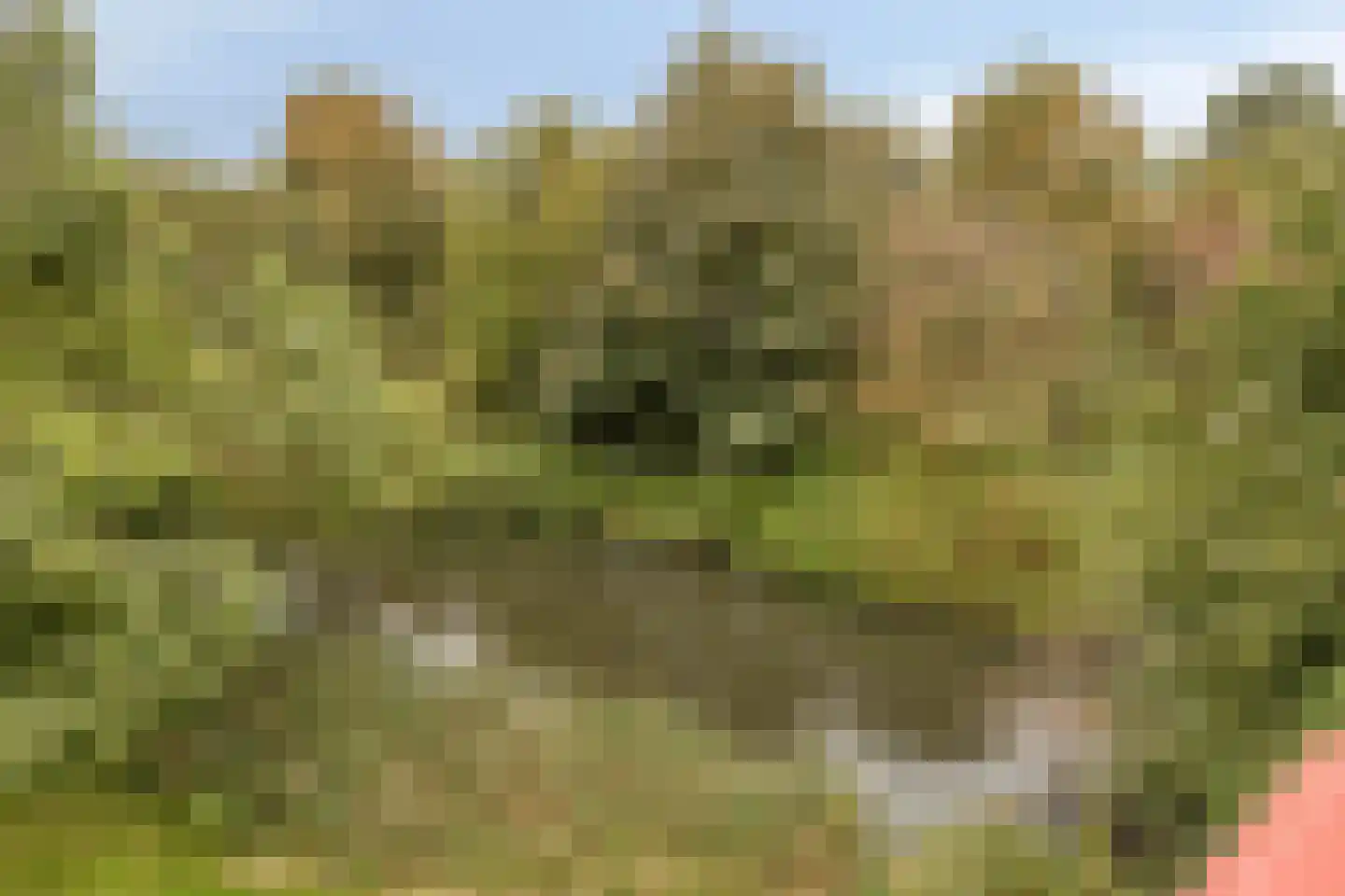 Parnassiaveld 108 Duivendrecht thumbnail 21