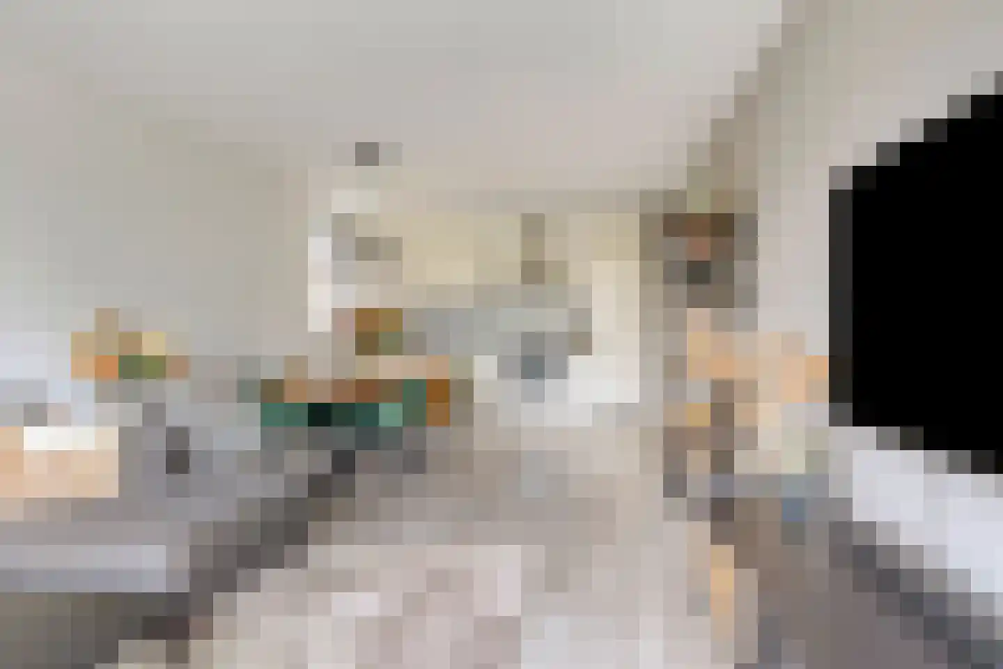 Parnassiaveld 108 Duivendrecht thumbnail 4