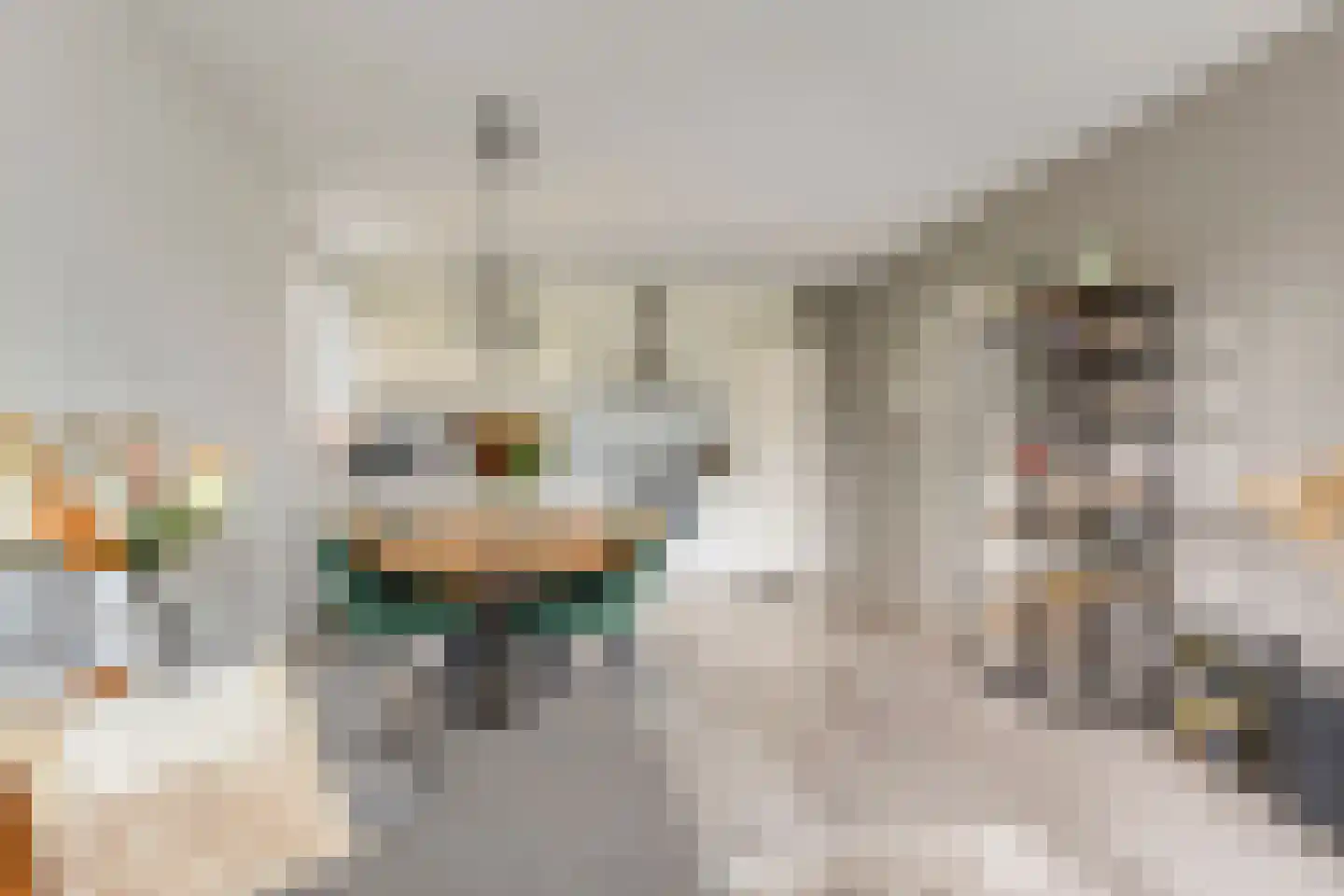Parnassiaveld 108 Duivendrecht thumbnail 7