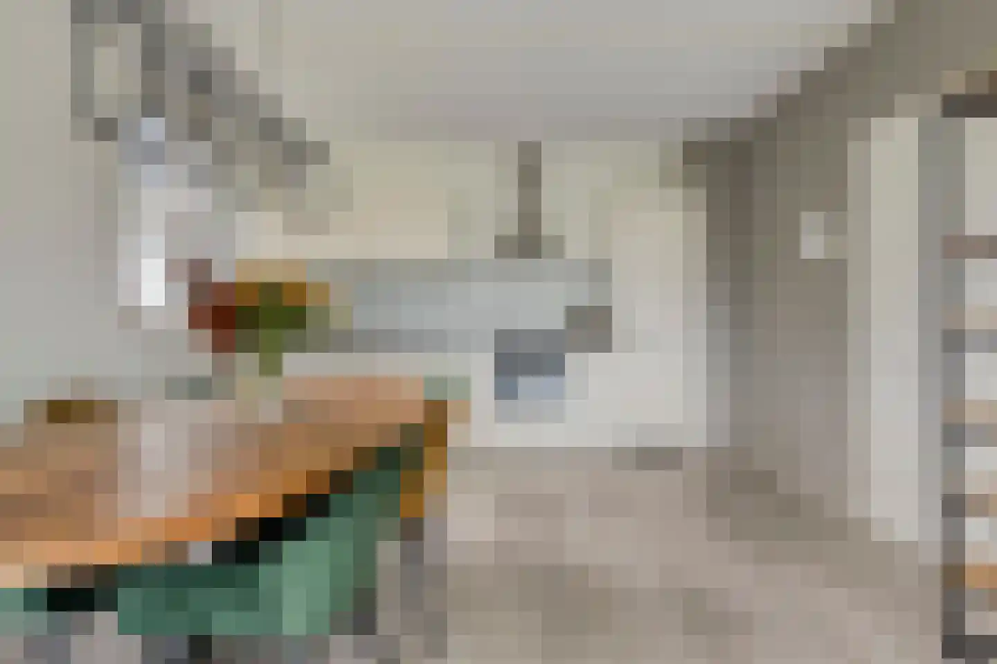 Parnassiaveld 108 Duivendrecht thumbnail 8