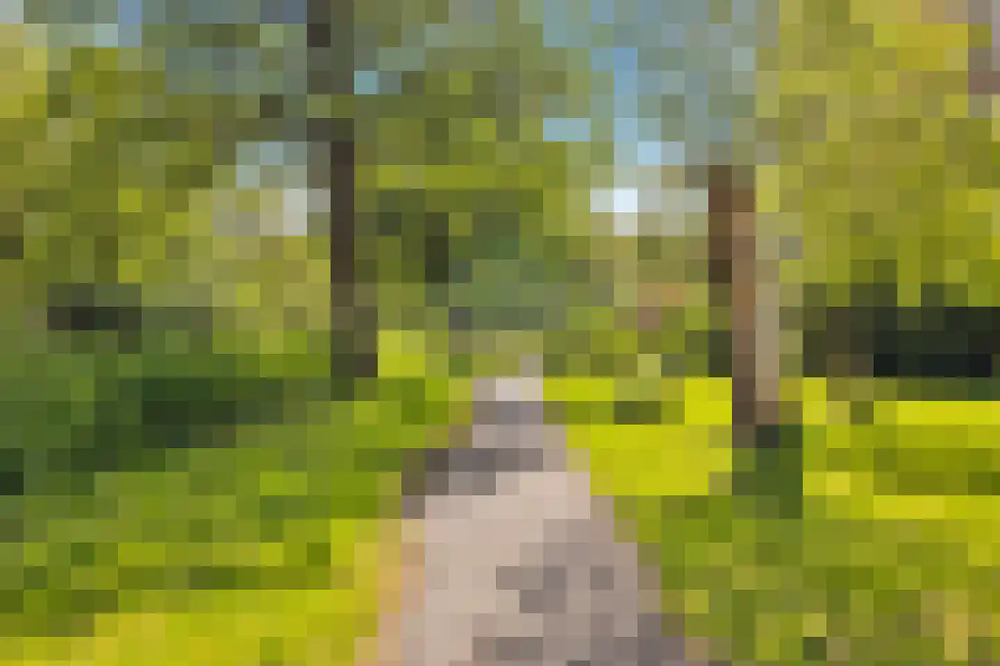 Parnassiaveld 114 Duivendrecht thumbnail 29