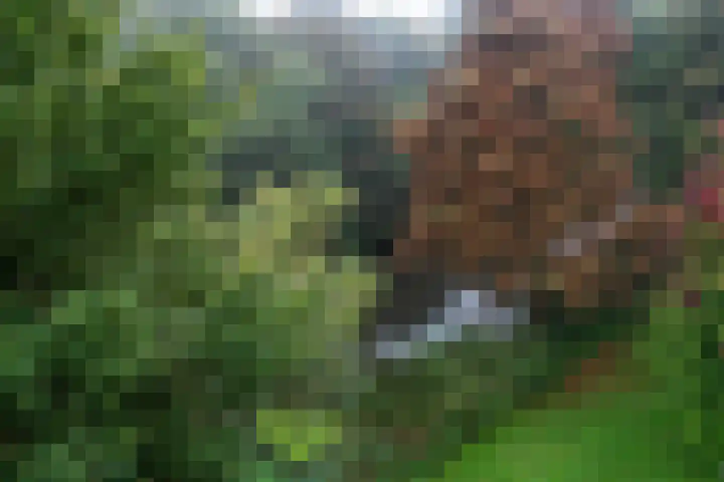 Parnassiaveld 115 Duivendrecht thumbnail 34