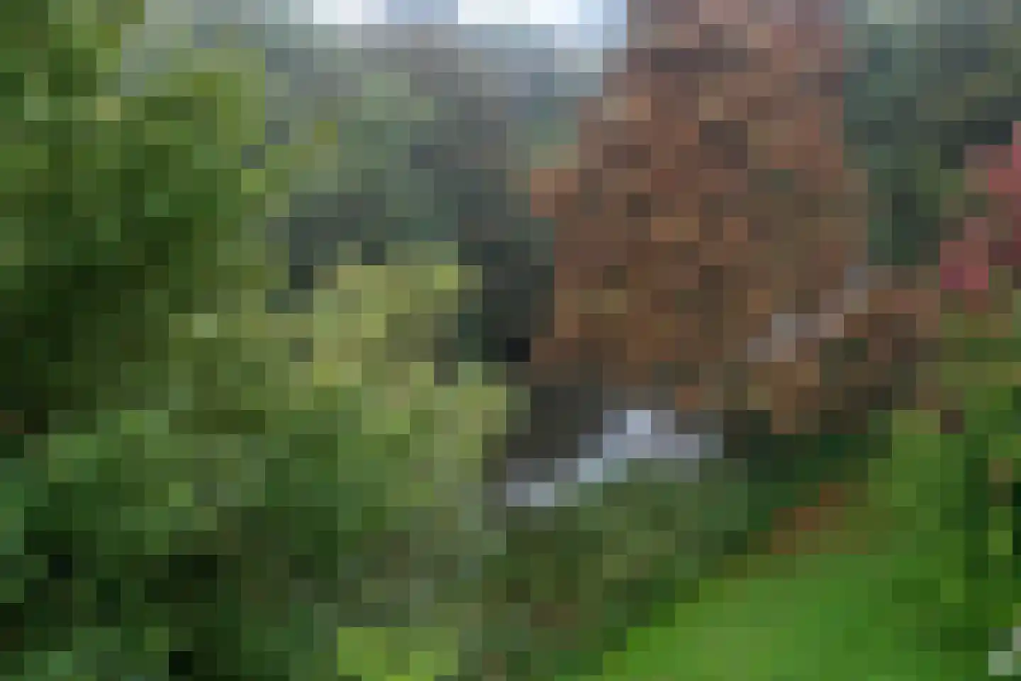 Parnassiaveld 115 Duivendrecht thumbnail 35