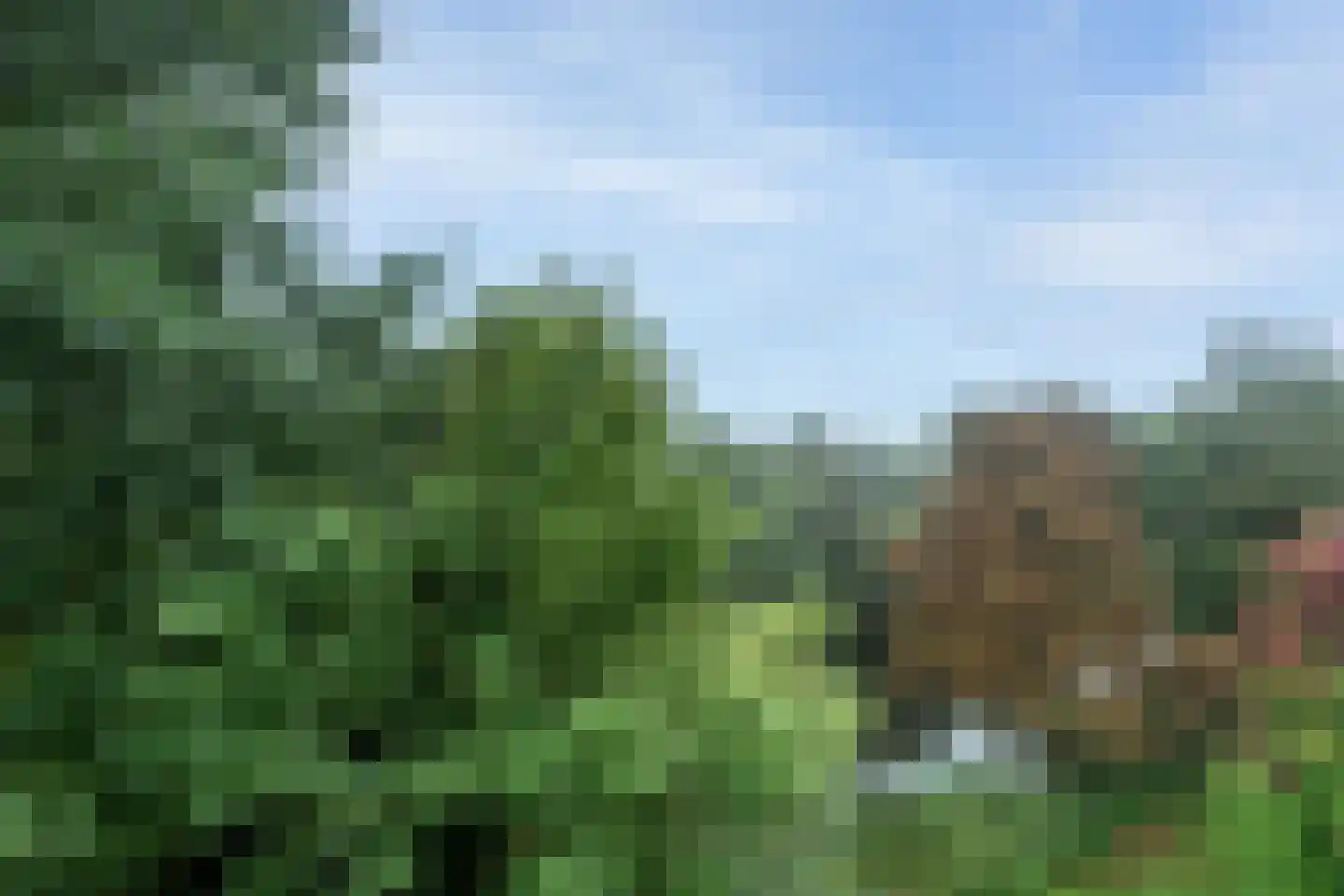 Parnassiaveld 115 Duivendrecht thumbnail 36