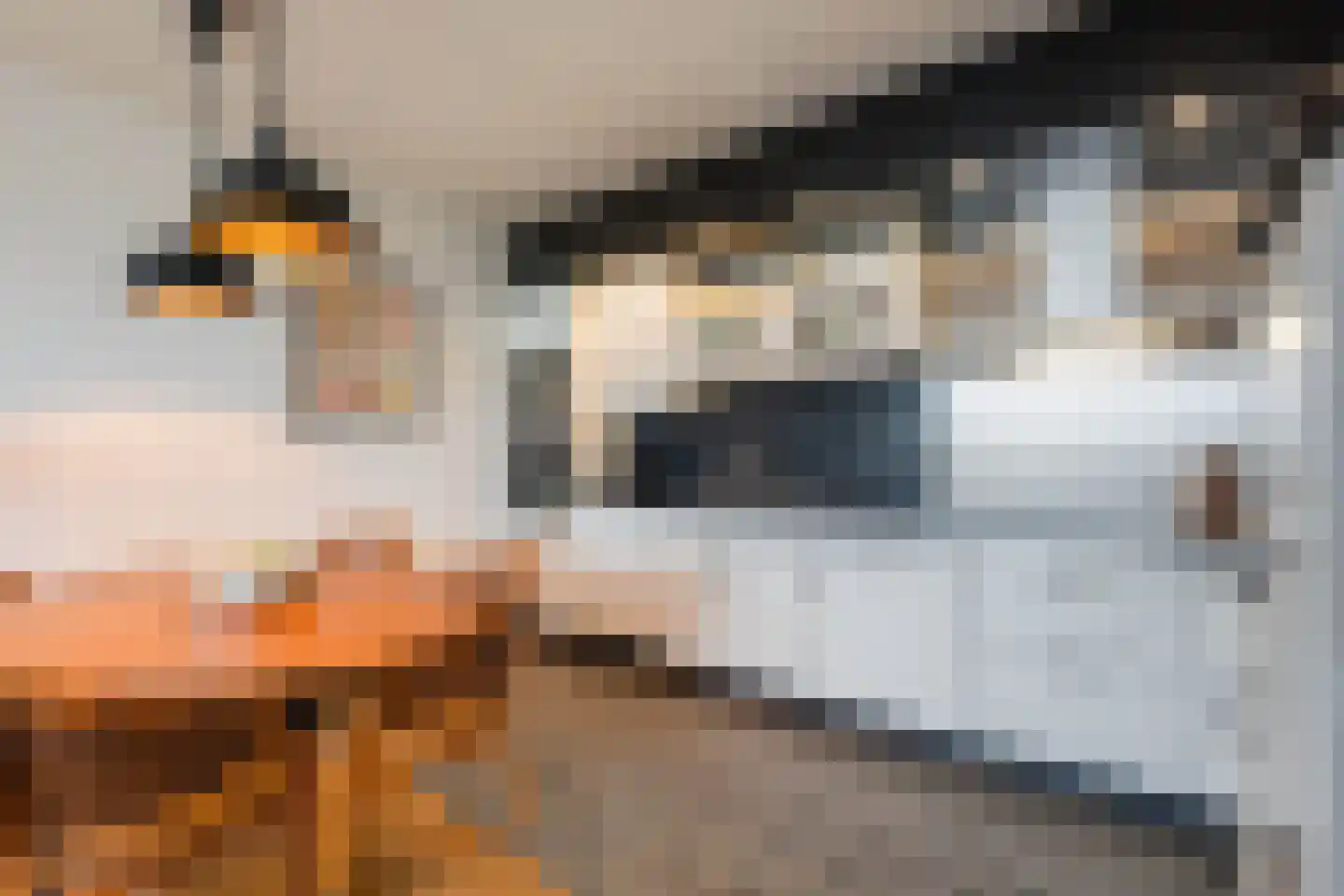Parnassiaveld 115 Duivendrecht thumbnail 4