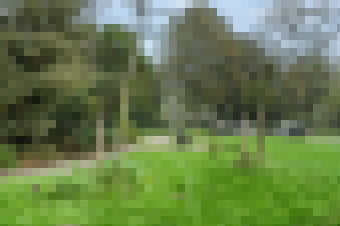 Parnassiaveld 115 Duivendrecht thumbnail 41