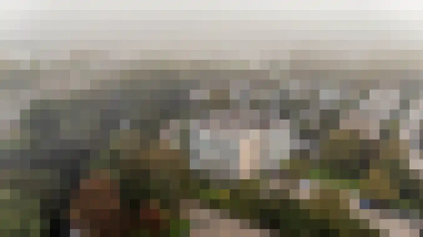 Parnassiaveld 115 Duivendrecht thumbnail 45