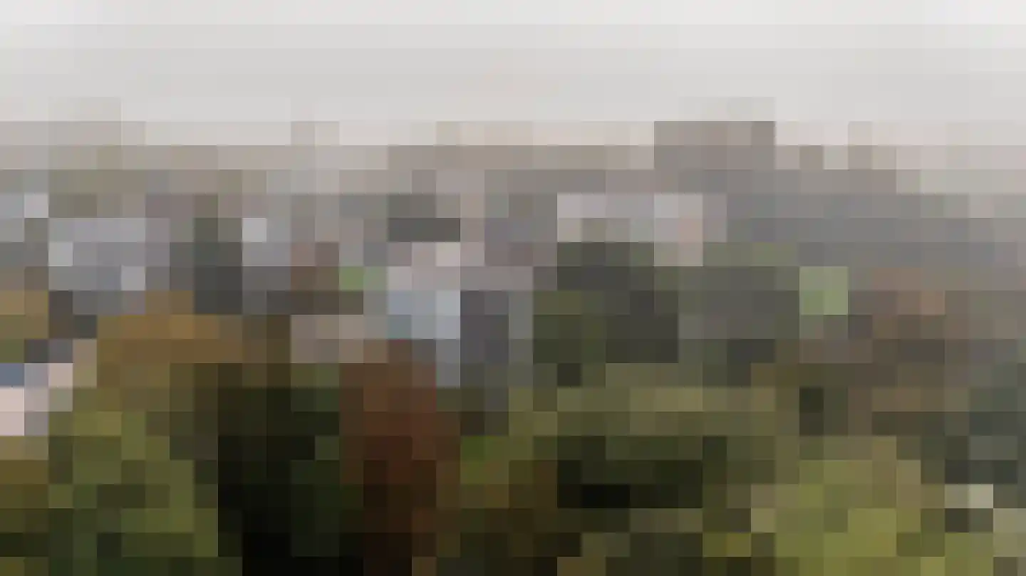 Parnassiaveld 115 Duivendrecht thumbnail 48