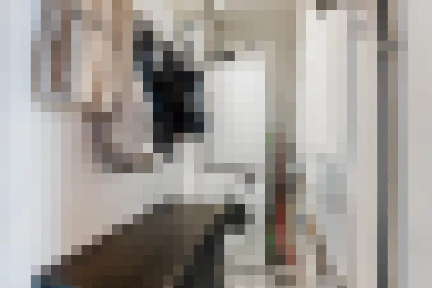Parnassiaveld 115 Duivendrecht thumbnail 9