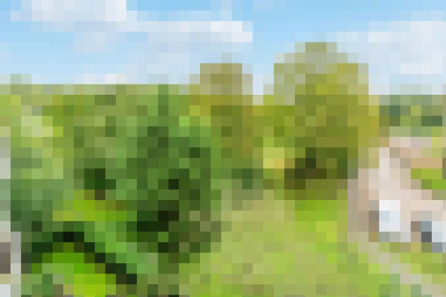 Parnassiaveld 135 Duivendrecht thumbnail 31