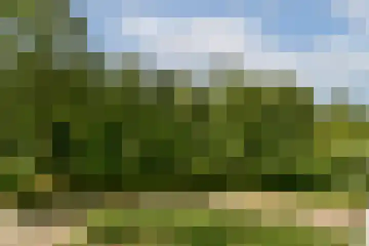 Parnassiaveld 159 Duivendrecht thumbnail 11