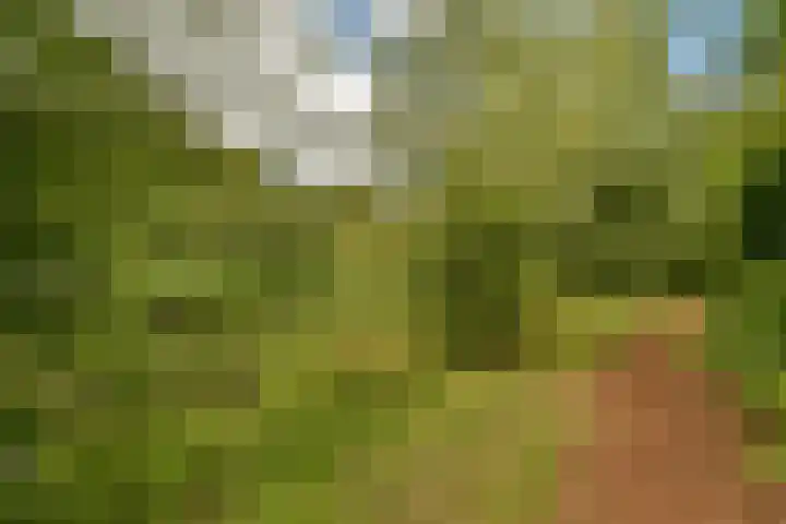 Parnassiaveld 159 Duivendrecht thumbnail 17