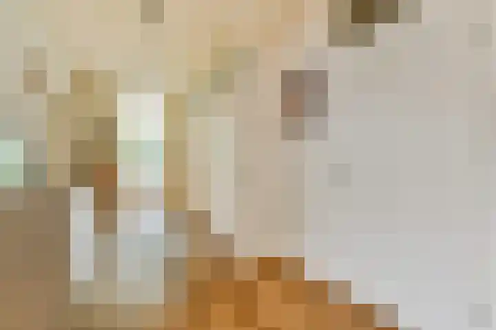Parnassiaveld 159 Duivendrecht thumbnail 5