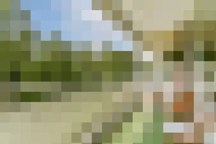 Parnassiaveld 159 Duivendrecht thumbnail 9