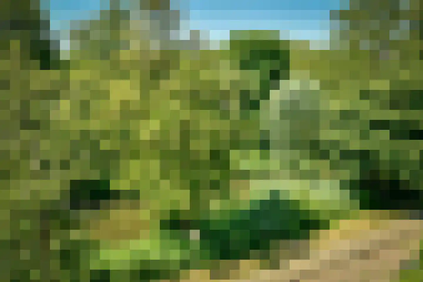 Parnassiaveld 167 Duivendrecht thumbnail 21