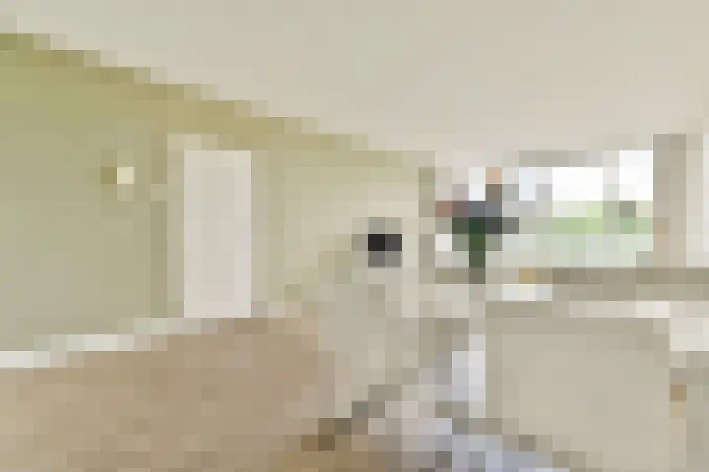 Parnassiaveld 22 Duivendrecht thumbnail 14
