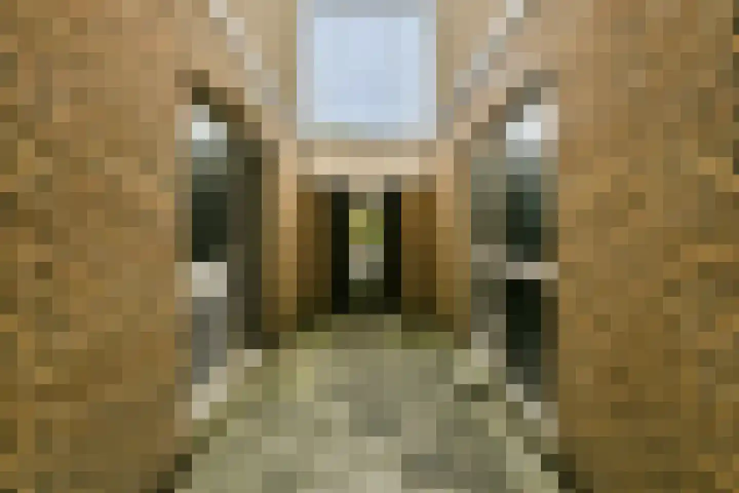 Parnassiaveld 22 Duivendrecht thumbnail 25