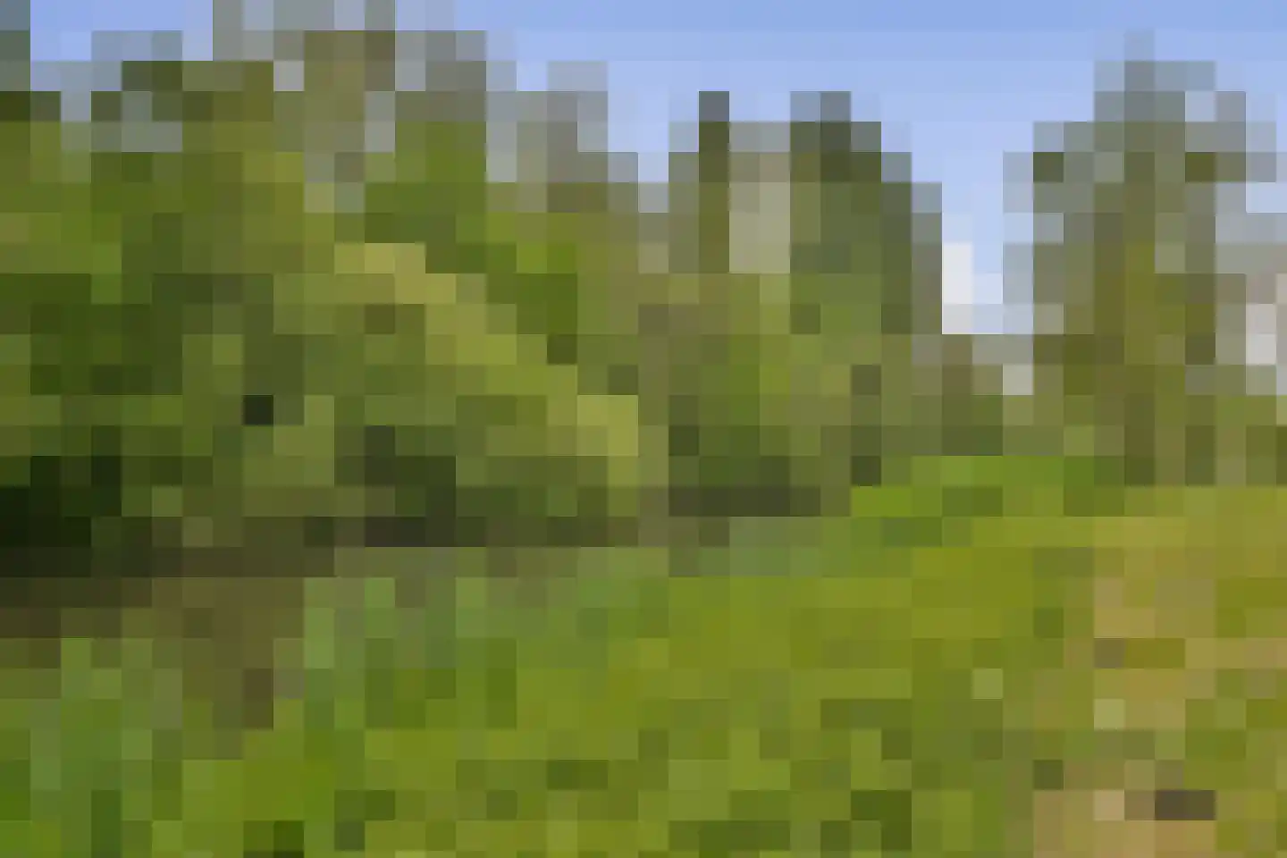 Parnassiaveld 22 Duivendrecht thumbnail 27