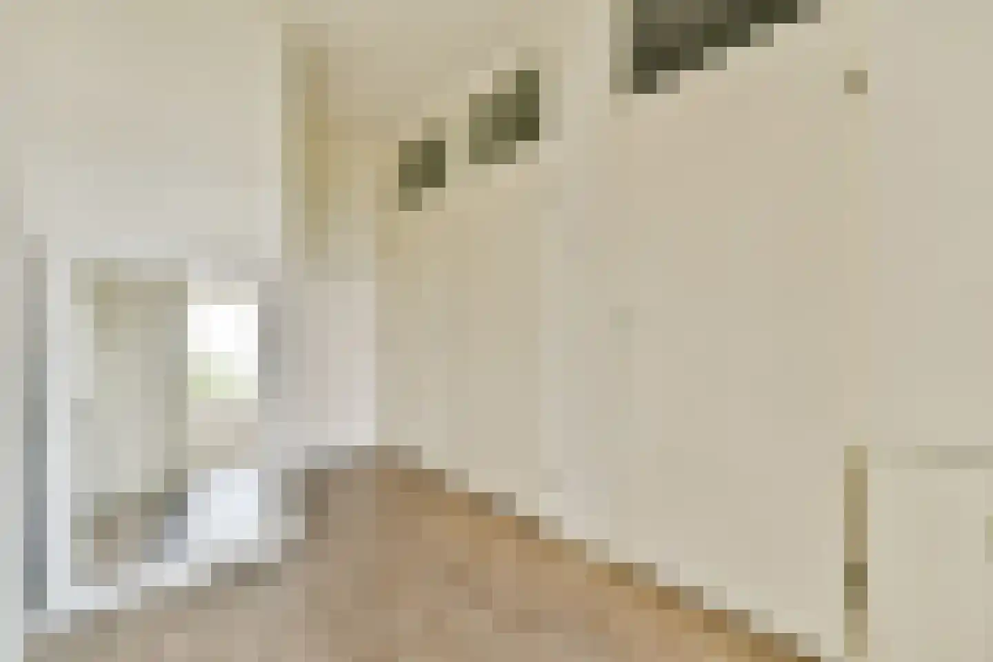 Parnassiaveld 22 Duivendrecht thumbnail 5