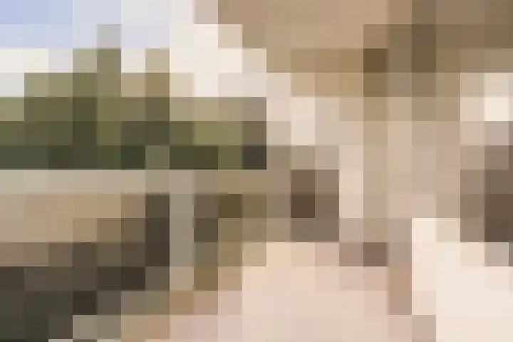 Parnassiaveld 35 Duivendrecht thumbnail 23