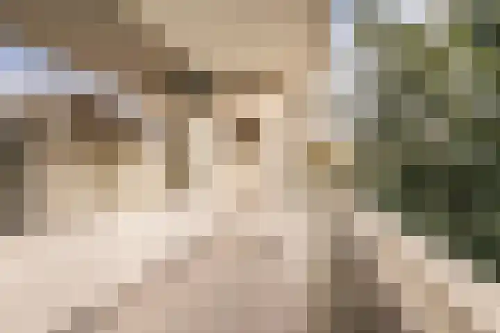 Parnassiaveld 35 Duivendrecht thumbnail 24