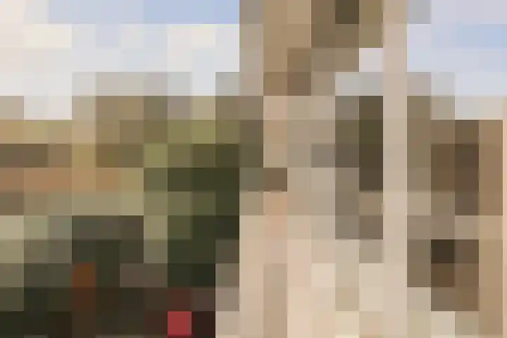 Parnassiaveld 35 Duivendrecht thumbnail 27