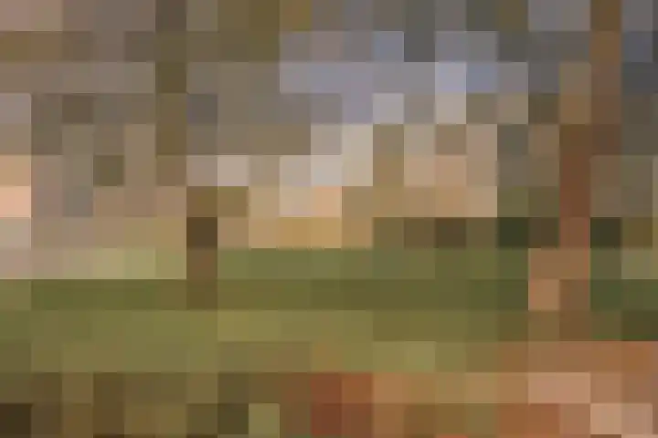 Parnassiaveld 35 Duivendrecht thumbnail 31