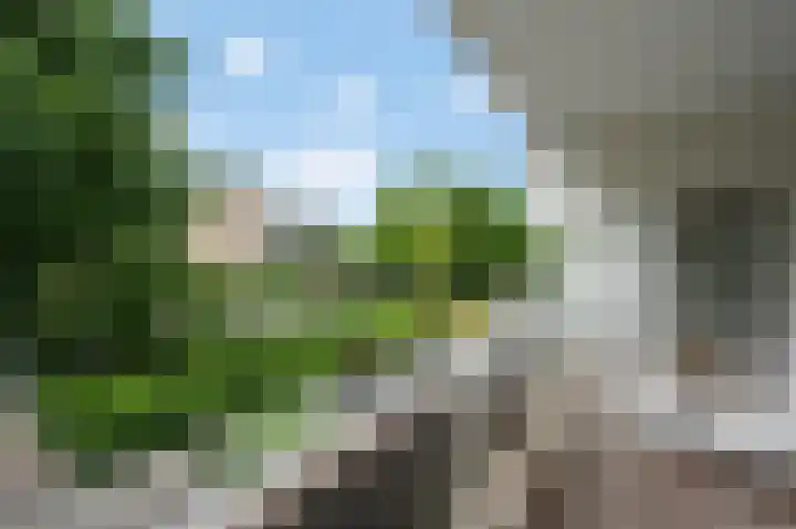 Parnassiaveld 39 Duivendrecht thumbnail 24
